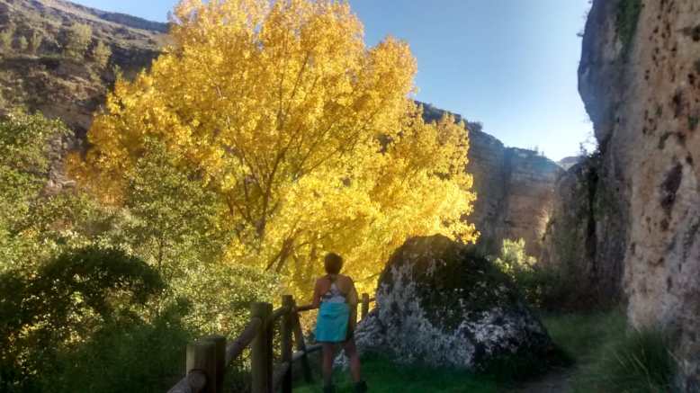 IMG-20181025-WA0002-min